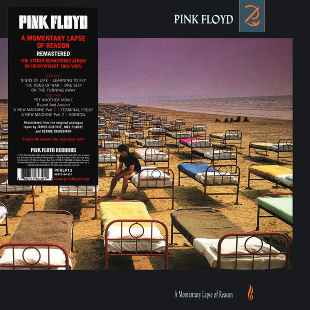 Pink Floyd A Momentary Lapse of Reason BRAND NEW SEALED - Etsy