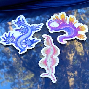 Sea Slug Stickers, Clear Stickers, Aesthetic Nudibranch stickers