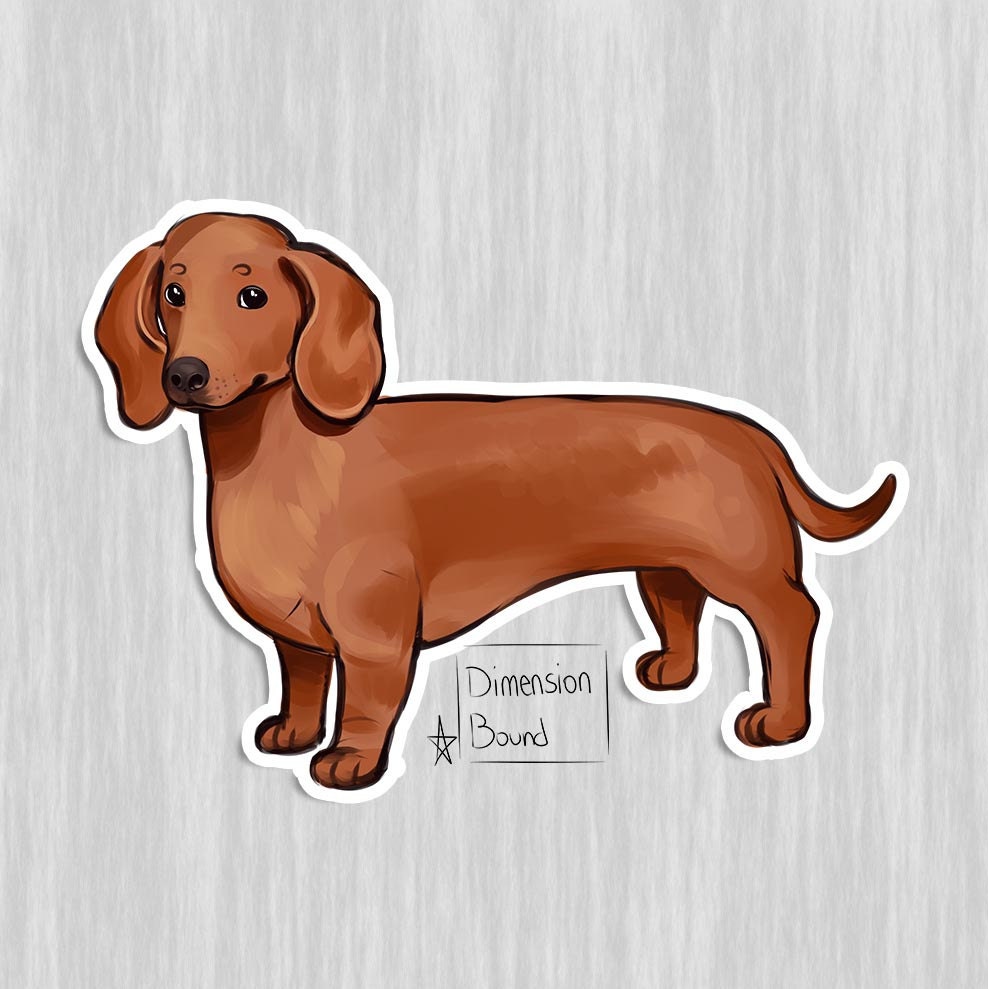 aesthetic sticker dachshund sticker laptop stickers wiener etsy