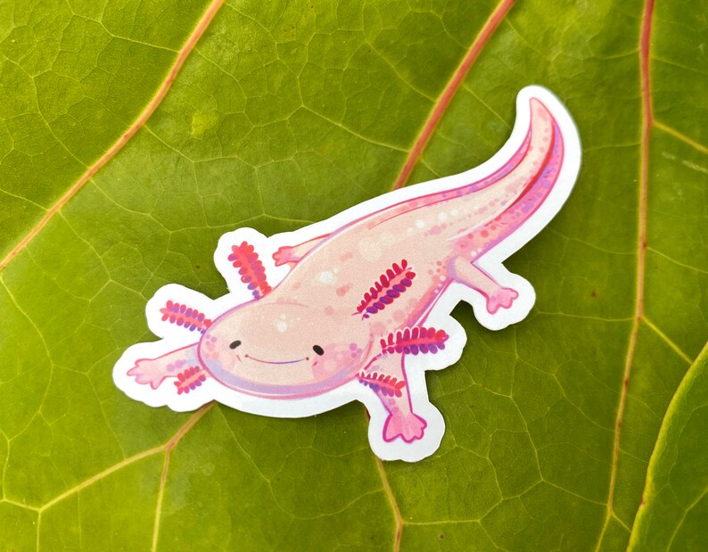 Axolotl Sticker Cute Aesthetic notebook sticker laptop Etsy