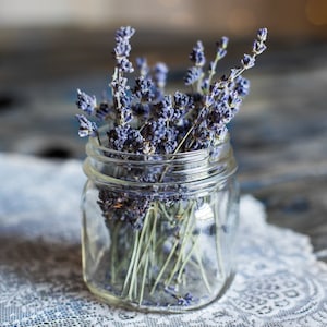 French Lavender Natural Essential Oil Roll On Perfume, Hand Made Alcohol Free Perfume Oil, All Natural Perfume, Floral Body Oil