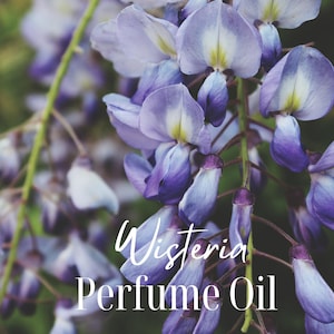 Wisteria Perfume Oil, Handmade Alcohol Free Body Oil, Unisex Perfume, Floral Perfume