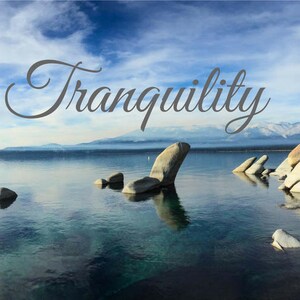 Tranquility Perfume Oil: Lavender, Chamomile, and Patchouli