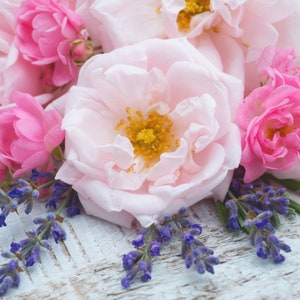 Mon Amour (Lavender, Rose, Sandalwood and Jasmine) Natural Perfume Oil, Floral Perfume Oil, Handcrafted Perfume Oil, Alcohol Free Body Oil