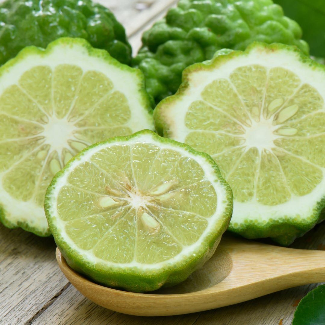 Bergamot Essential Oil Perfume: Natural Unisex Fragrance - Etsy