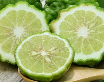 Bergamot Essential Oil Perfume: Natural Unisex Fragrance