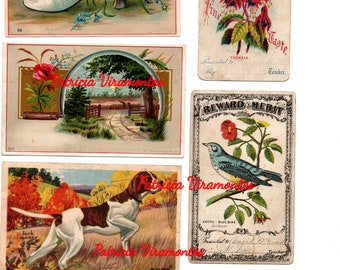 Ephemera Digital Kit 2