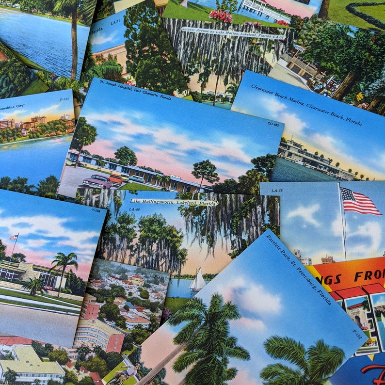 Lot of Five Vintage Florida Tropical Postcards Etsy