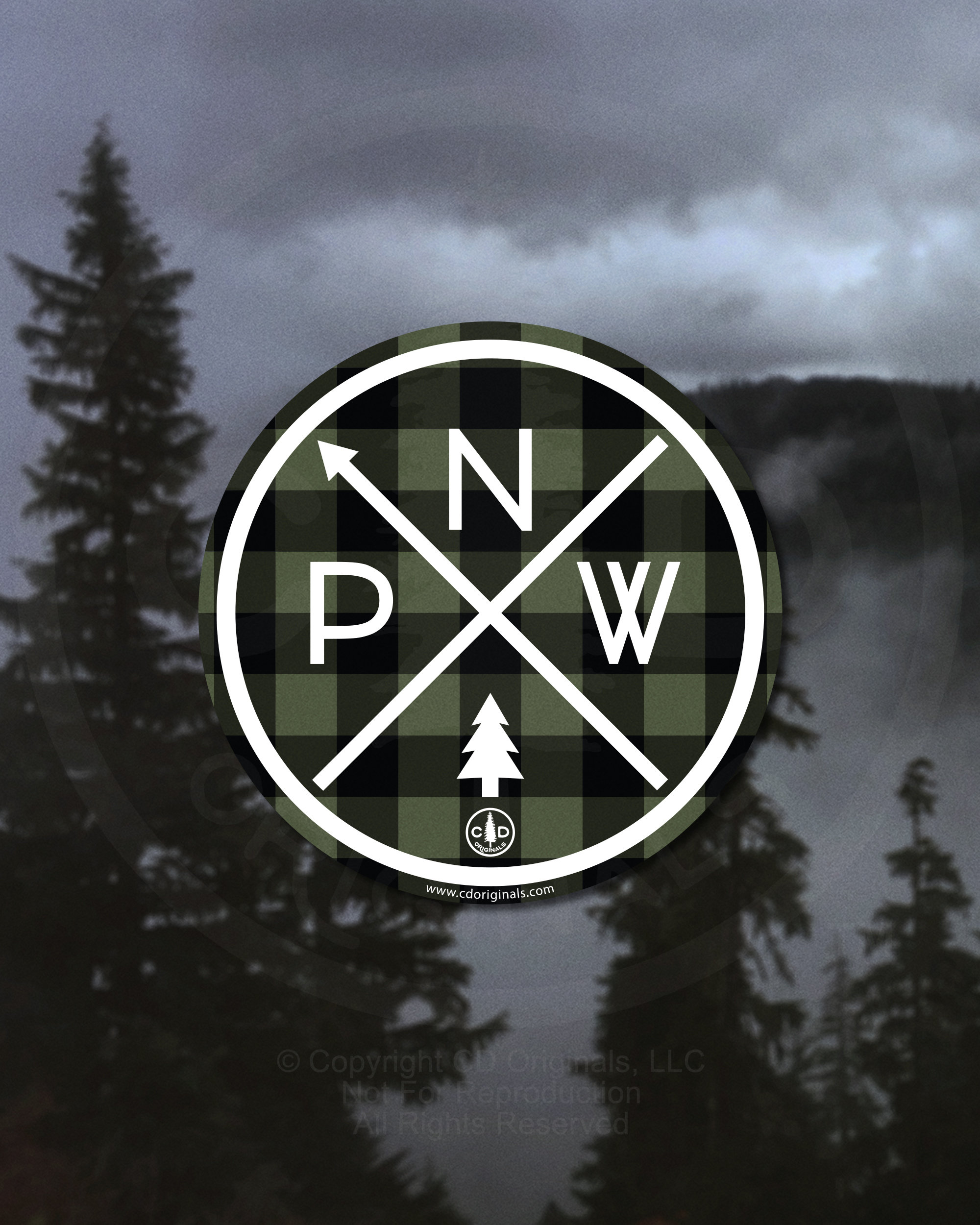 The Original PNW Pride Vinyl Sticker | Pacific Northwest Decal for ...