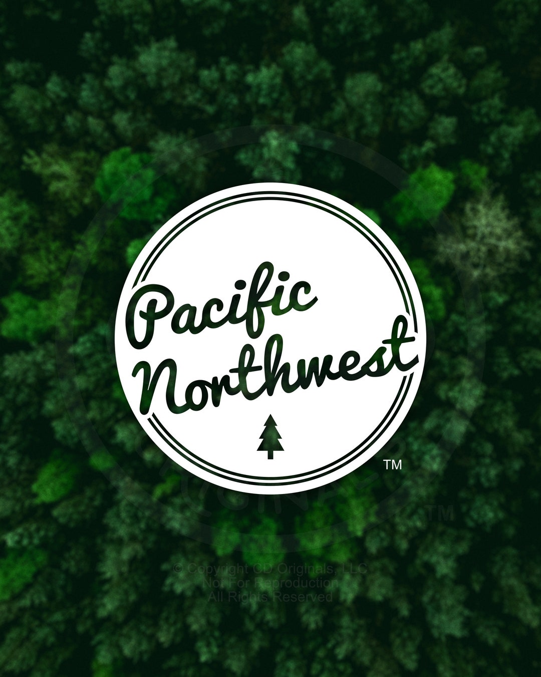 PNW Retro Script Vinyl Decal – Pacific Northwest Car Sticker - Etsy