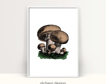 Mushroom, Mushrooms, Mushroom Print, Printable Mushroom, Vintage Mushrooms, Mushroom Decor, Mushroom Wall Art, Botanical Prints, Fine Art
