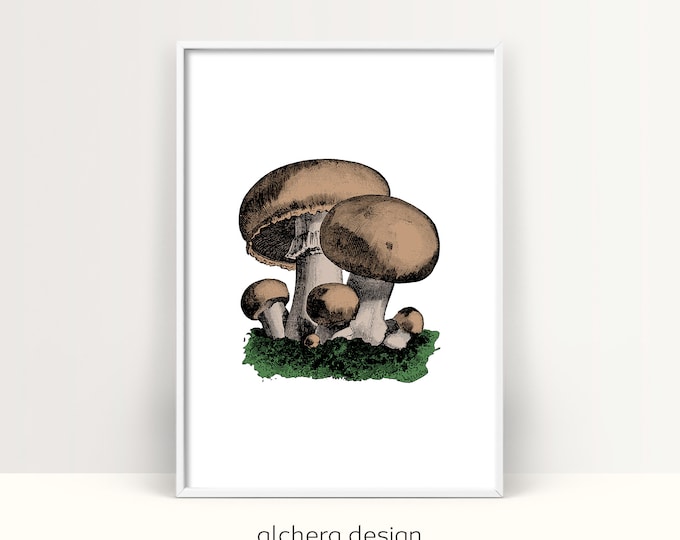 Mushroom, Mushrooms, Mushroom Print, Printable Mushroom, Vintage Mushrooms, Mushroom Decor, Mushroom Wall Art, Botanical Prints, Fine Art