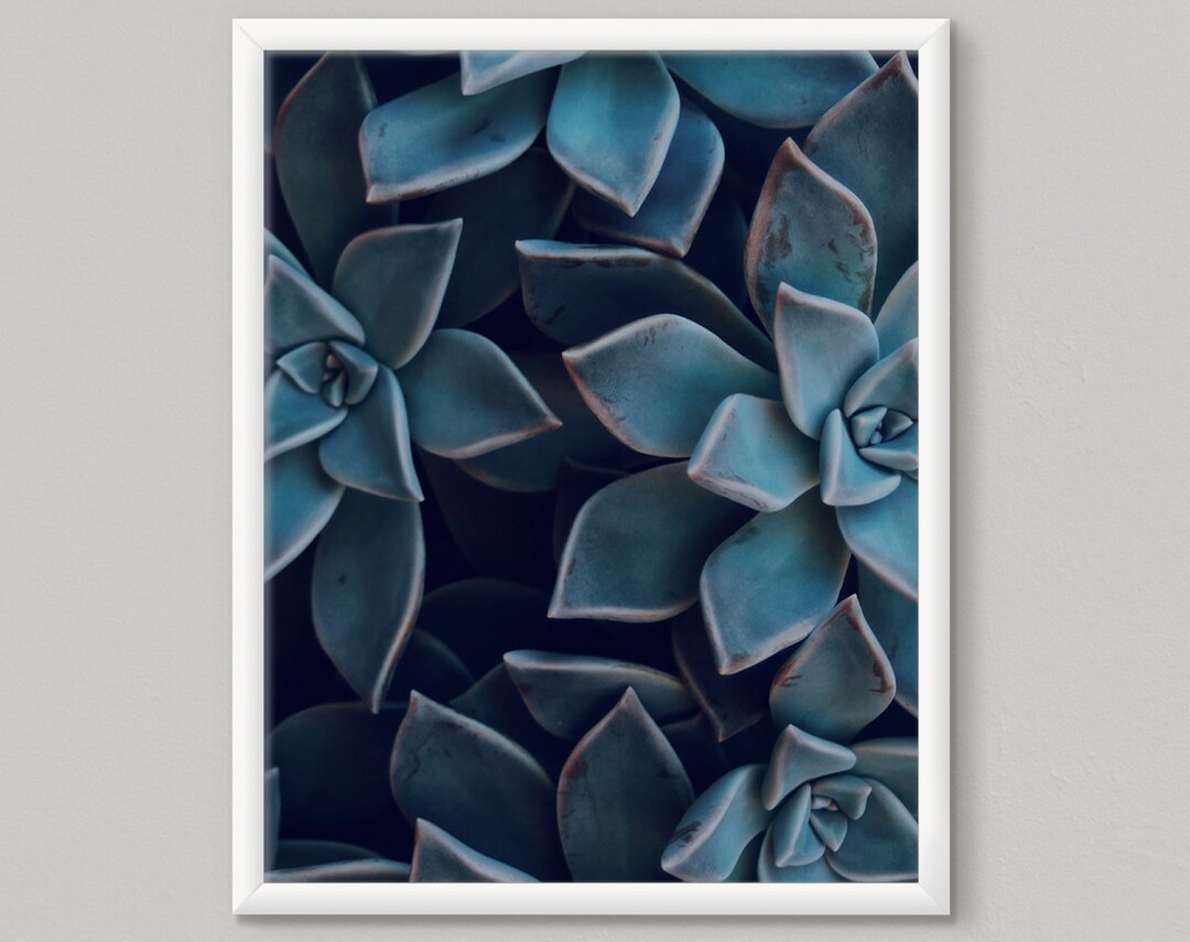Blue Cactus Print, Succulent Printable Art, Succulent Print, Instant ...