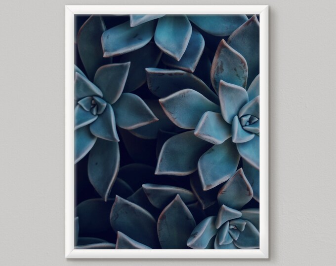 Blue Cactus Print, Succulent Printable Art, Succulent Print, Instant Download, Succulent Art, Large Wall Art, Cactus Print, Cactus Decor