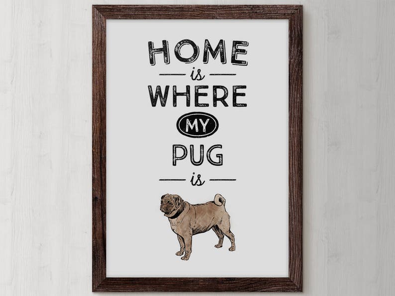 May include: A framed print with the text "Home is where my pug is" in black lettering on a white background. A brown pug is illustrated below the text.