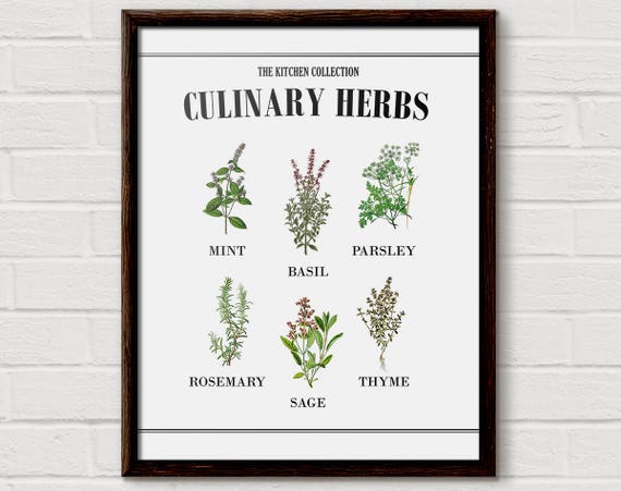 Fresh Herb Chart