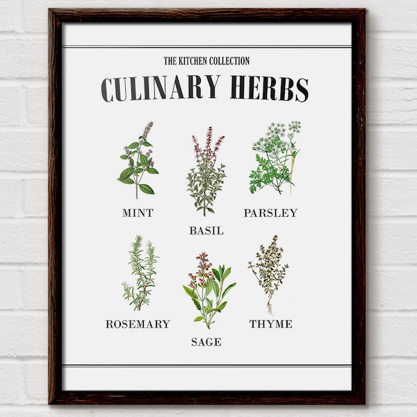 Culinary Art Print - Etsy