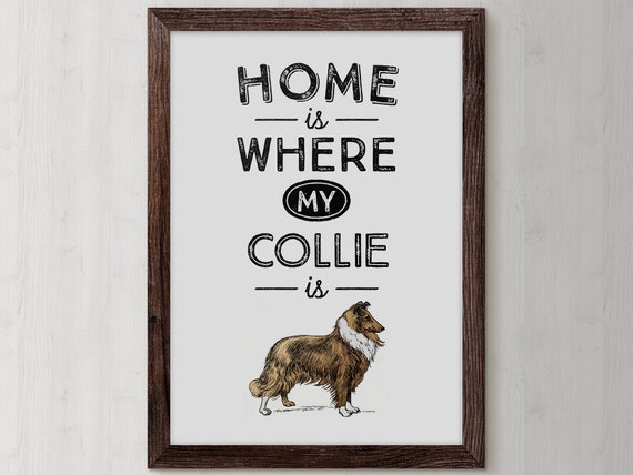 Border Collie Art Print, Dog Lover Gift, Dog Owner Gift (Digital Download)