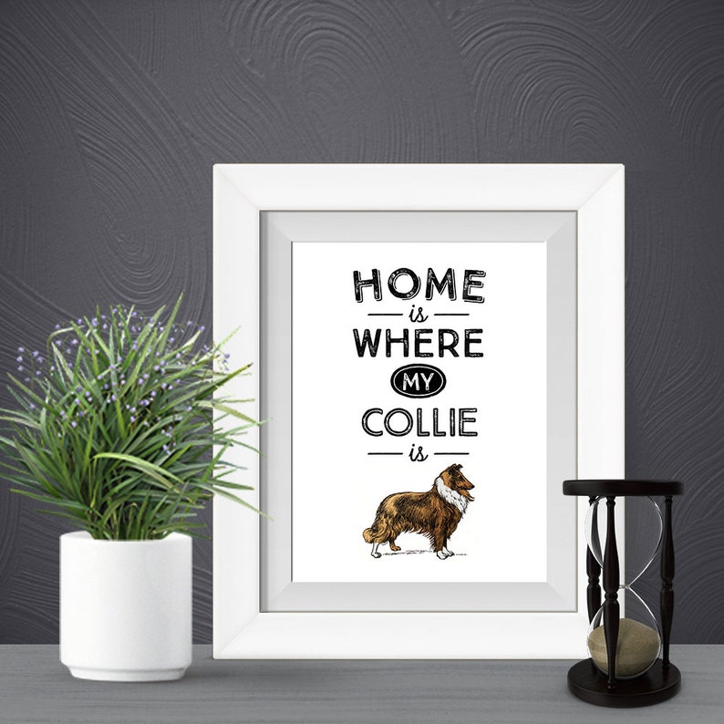 May include: A framed print with the text "HOME is WHERE MY COLLIE is" and a drawing of a Collie dog. The frame is white, and the print is displayed on a gray surface with a small plant and hourglass.