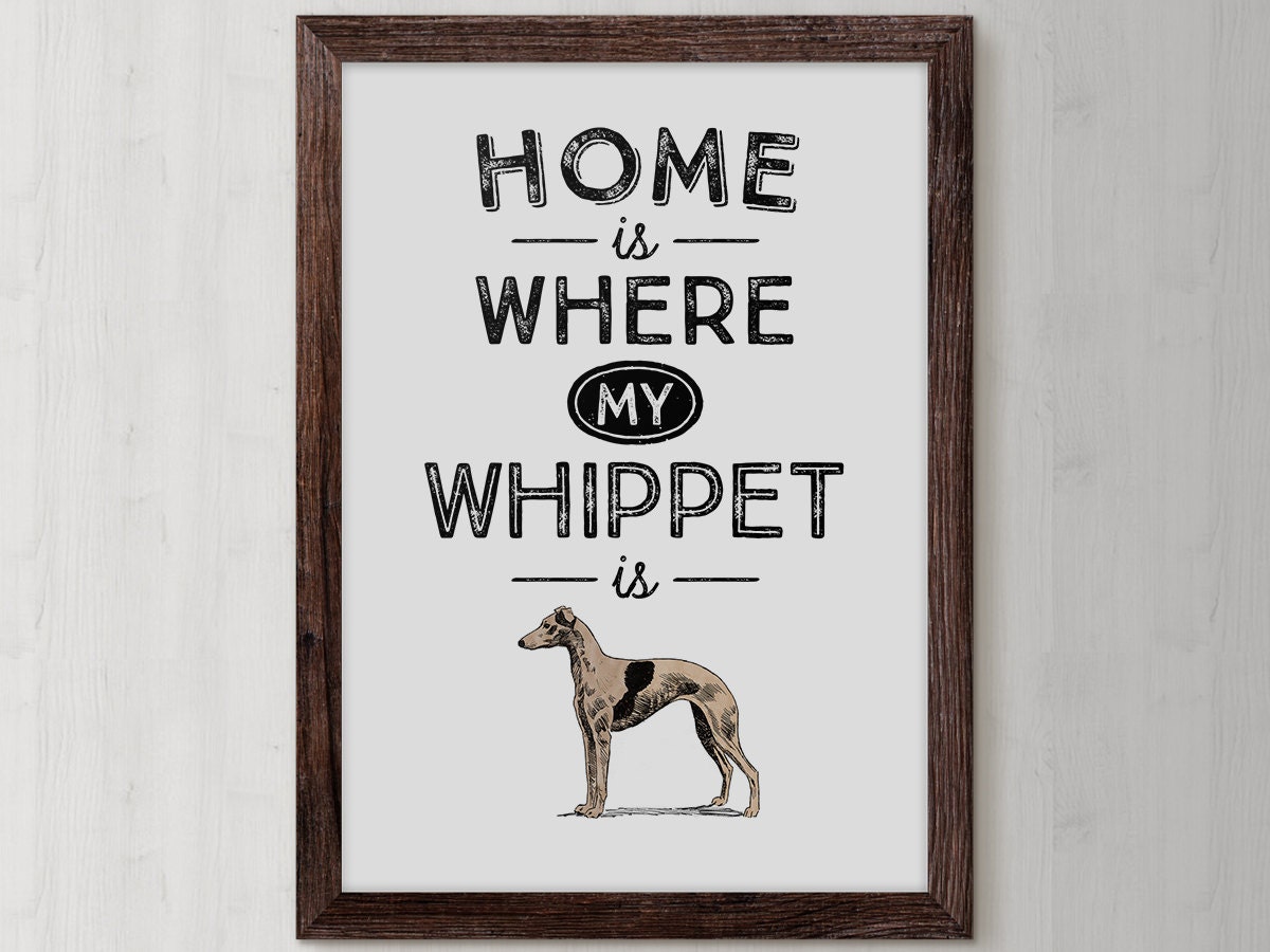 whippet merchandise