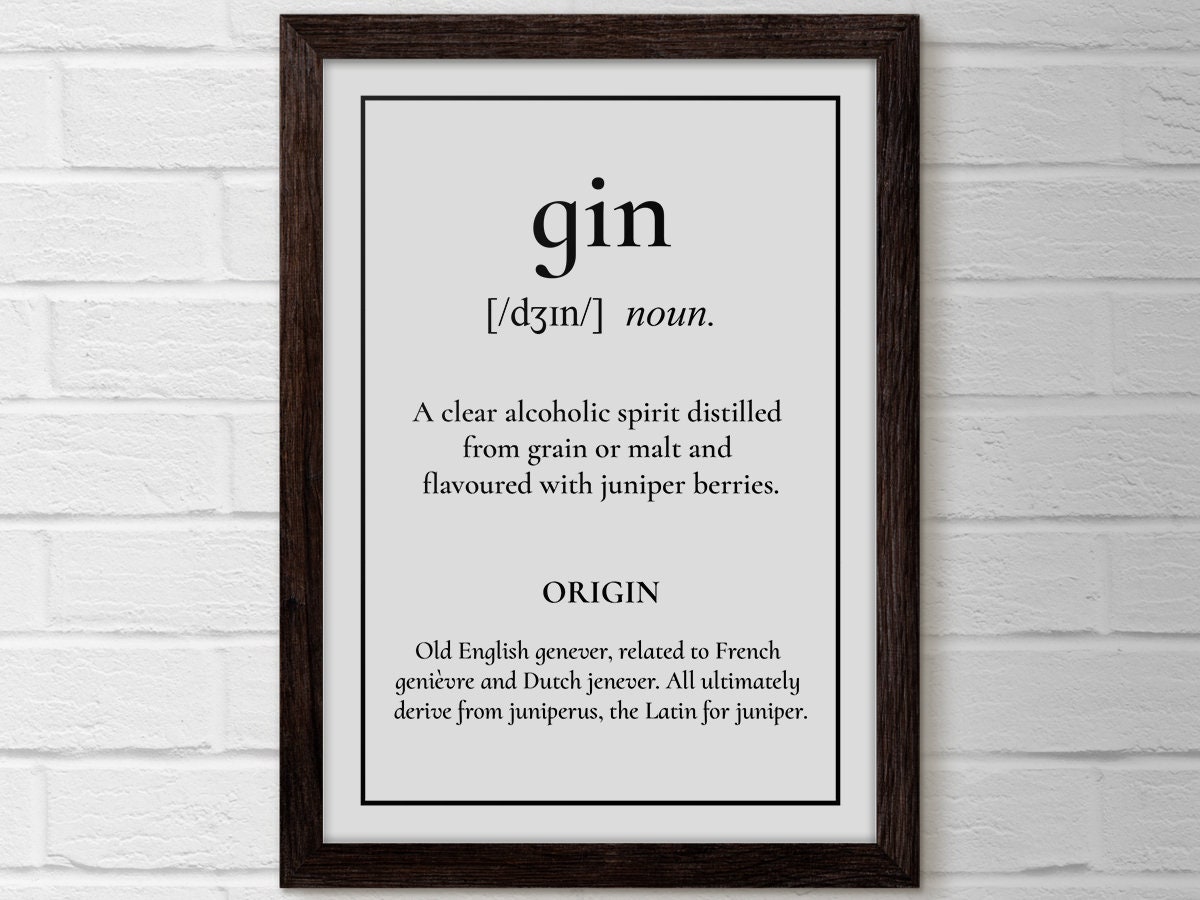 Gin Tonic Gift Gin and Tonic Gin Gift Gin Gifts Gin Lover Etsy