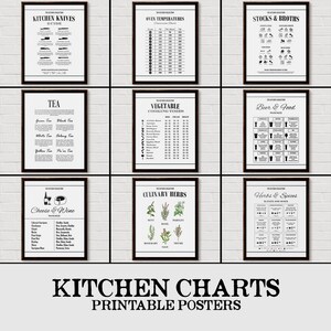 Beer Chart, Beer Pairing, Food Pairs, Beer Print, Beer Lover Gift, Beer Diagram, Boyfriend Gift, Beer Print, Beer Poster, Beer Food Chart image 7