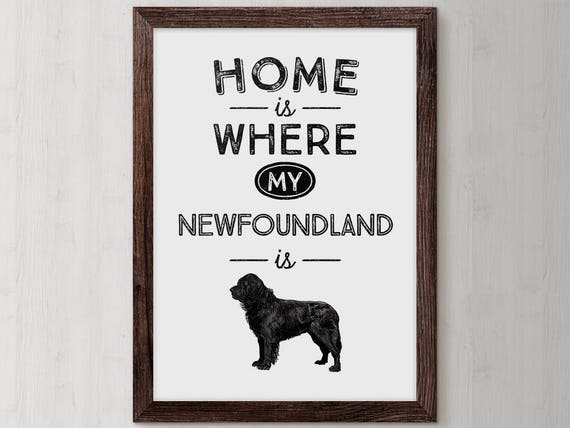 Gifts for top newfoundland dog lovers