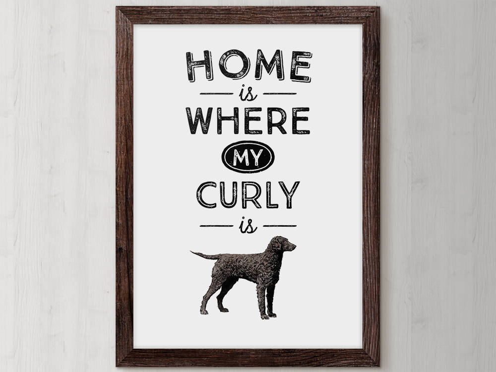 Curly Coated, Curly Retriever, Funny Dog, Novelty Dog Gift, Dog Keepsake,  Dog Mama, Dog Lover Sign, Dog Quotes Art, Dog Gifts Dog Lover Gift