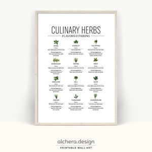 Herb Guide Poster, Kitchen Wall Decor,  Cooking Chart, Foodie Gift, Herbal Print, Kitchen Art