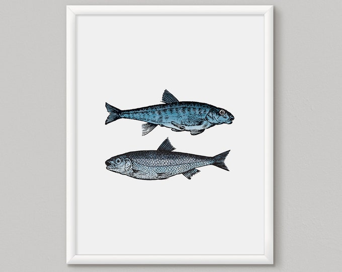 Fish Wall Art, Fish Print, Wall Art, Wall Art Print, Blue Print Set, Fishing Wall Art Print, Angling Gift Idea, Beach House Art, Coastal