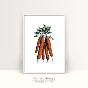 Printable Carrot Kitchen Decor, Carrot Illustration Wall Art ,Digital Vegetable Art Print, Farmhouse Style Carrot Print