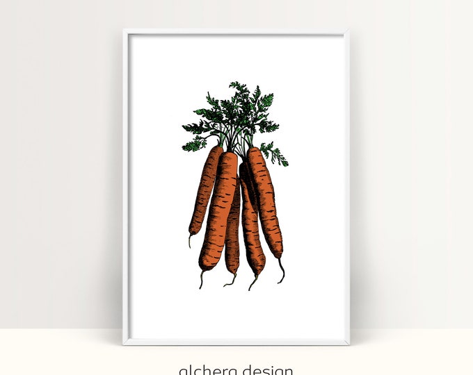 Printable Carrot Kitchen Decor, Carrot Illustration Wall Art ,Digital Vegetable Art Print, Farmhouse Style Carrot Print