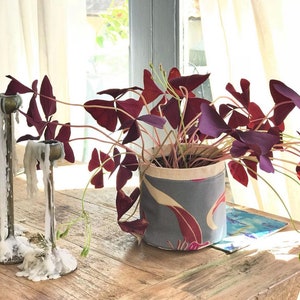 Puede incluir: Una planta en maceta con hojas de color púrpura oscuro en una maceta de tela con un patrón floral. La maceta es gris con flores rosas y blancas. La planta está sentada en una mesa de madera.