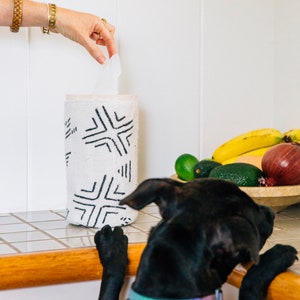 Pode incluir: Um cão preto com uma coleira azul e verde está olhando para um dispensador de papel toalha branco com um padrão geométrico preto e branco. O dispensador está em uma bancada de azulejos brancos.