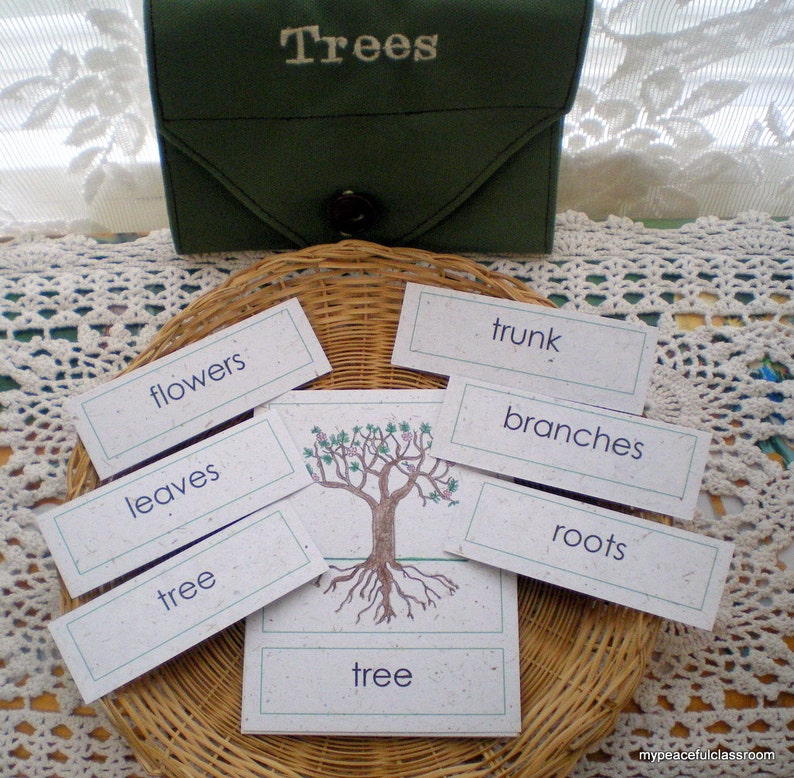 Parts of a Tree Montessori Botany Cards for the Child Etsy