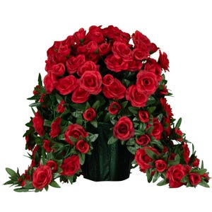 May include: A large red rose bush with cascading vines of smaller red roses. The bush is potted in a dark green pot.