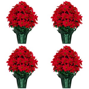 May include: Four potted poinsettias with vibrant red blooms and green foliage. The plants are in dark green decorative pots, creating a festive and colorful display. Perfect for holiday decor.