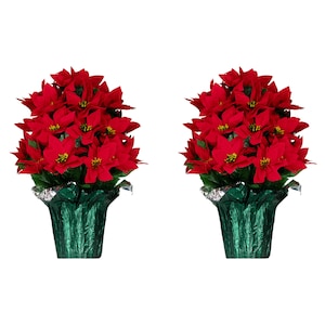 May include: Two poinsettia plants with vibrant red bracts and yellow centers. The plants are in green foil-wrapped pots, creating a festive holiday display. The plants are set against a white background.