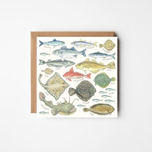 Cartão grande, 'Some British Fish'