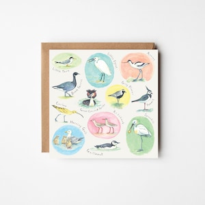 Tarjeta de felicitación grande, 'Nativos y visitantes', aves playeras, aves marinas, limícolas