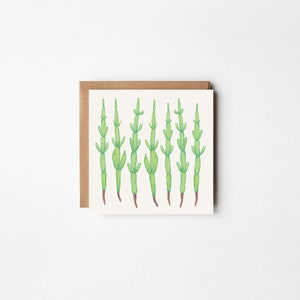 Petite carte de voeux « Marsh Samphire »