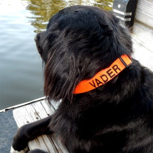 Personalized Dog Collar