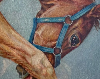 Foal Itch, an original colored pencil drawing