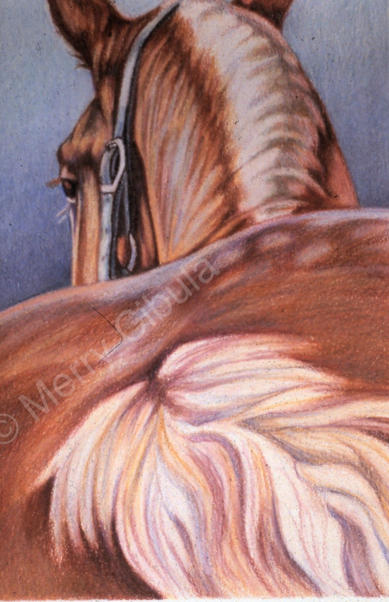 Equine Art. An original equine colored pencil drawing of a | Etsy