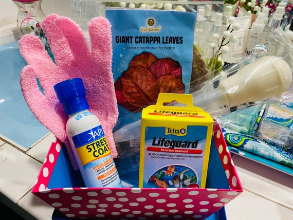 betta fish first aid kit