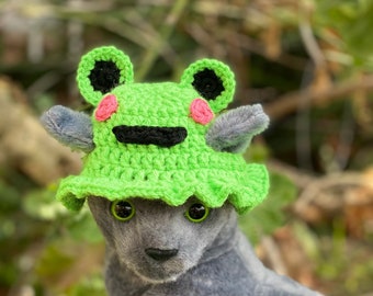 Frog bucket hat cat hat, bucket cat cat hat, cat hat, silly hat, spring hat pet