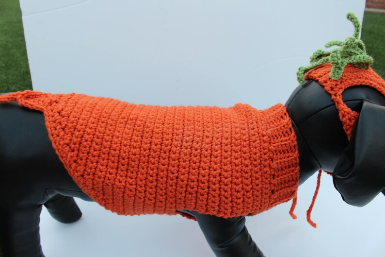Dog Carrot Costume
 Carrot Pet Costume Halloween Dog Costume Made to Order Cat