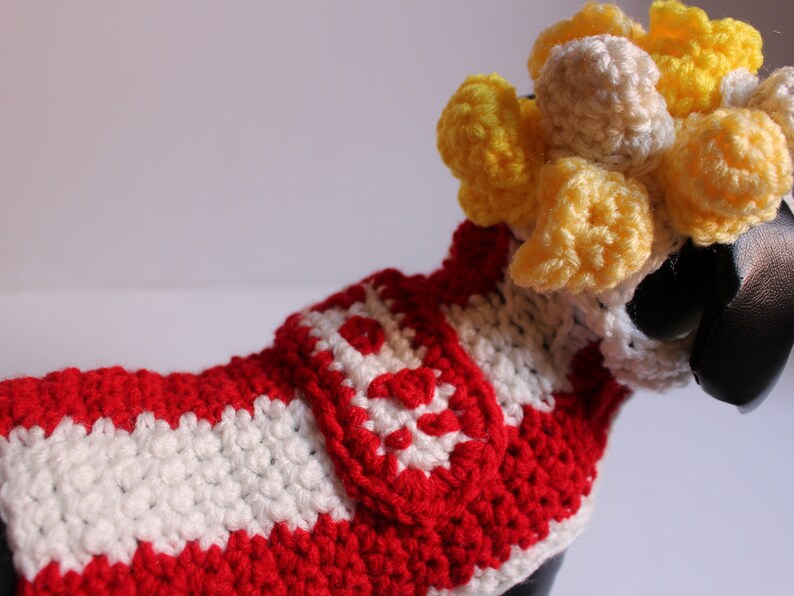 Popcorn Bag Dog Costume Halloween Costume Movie Lovers Cat Etsy