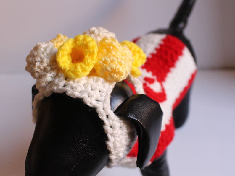 Popcorn Bag Dog Costume Halloween Costume Movie Lovers Cat Etsy