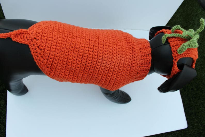 Carrot Pet Costume Halloween Dog Costume Made to Order Cat Etsy